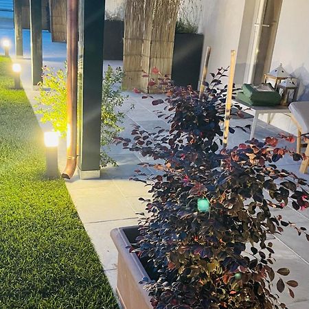 ماسا Poveromo B&B المظهر الخارجي الصورة
