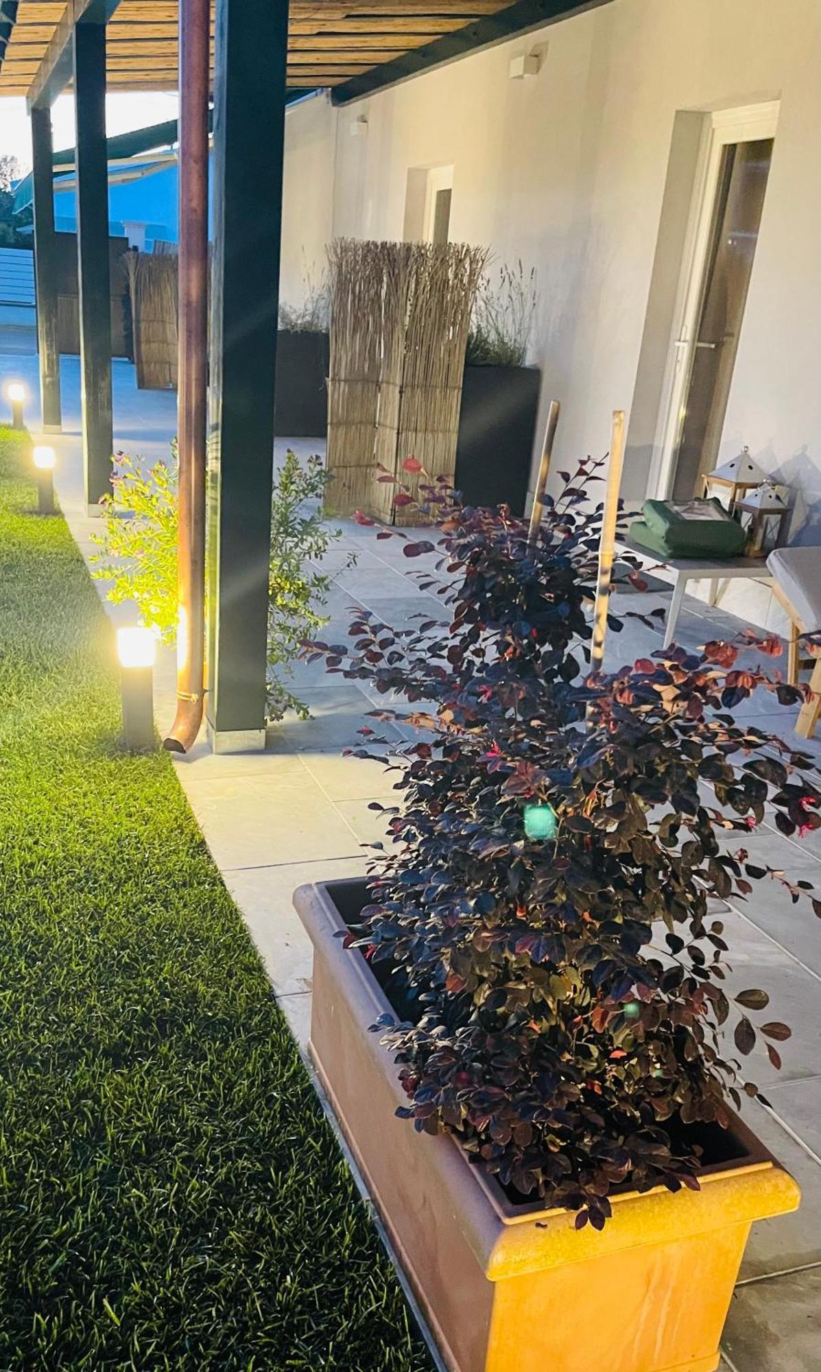 ماسا Poveromo B&B المظهر الخارجي الصورة